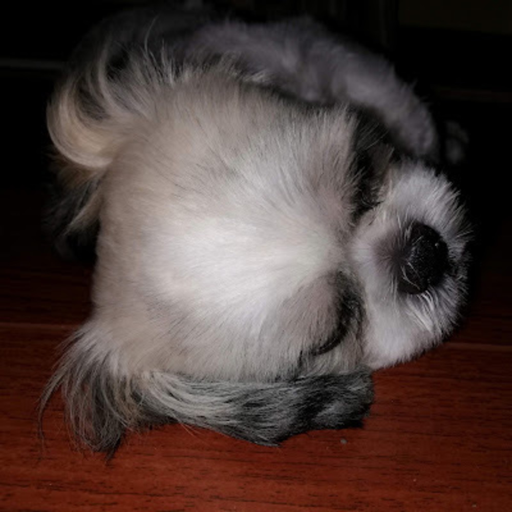 Meet your Posher, Kath